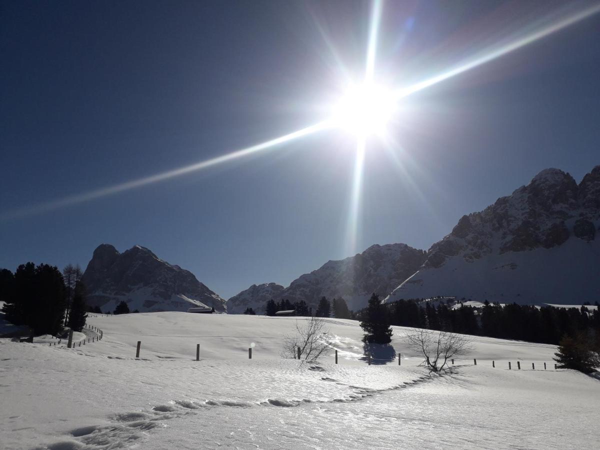 Mountain Residence Alpenhof - Company Hotel Alpenhof Kg Sas Der Gasser Renate เบรสซาโนเน ภายนอก รูปภาพ