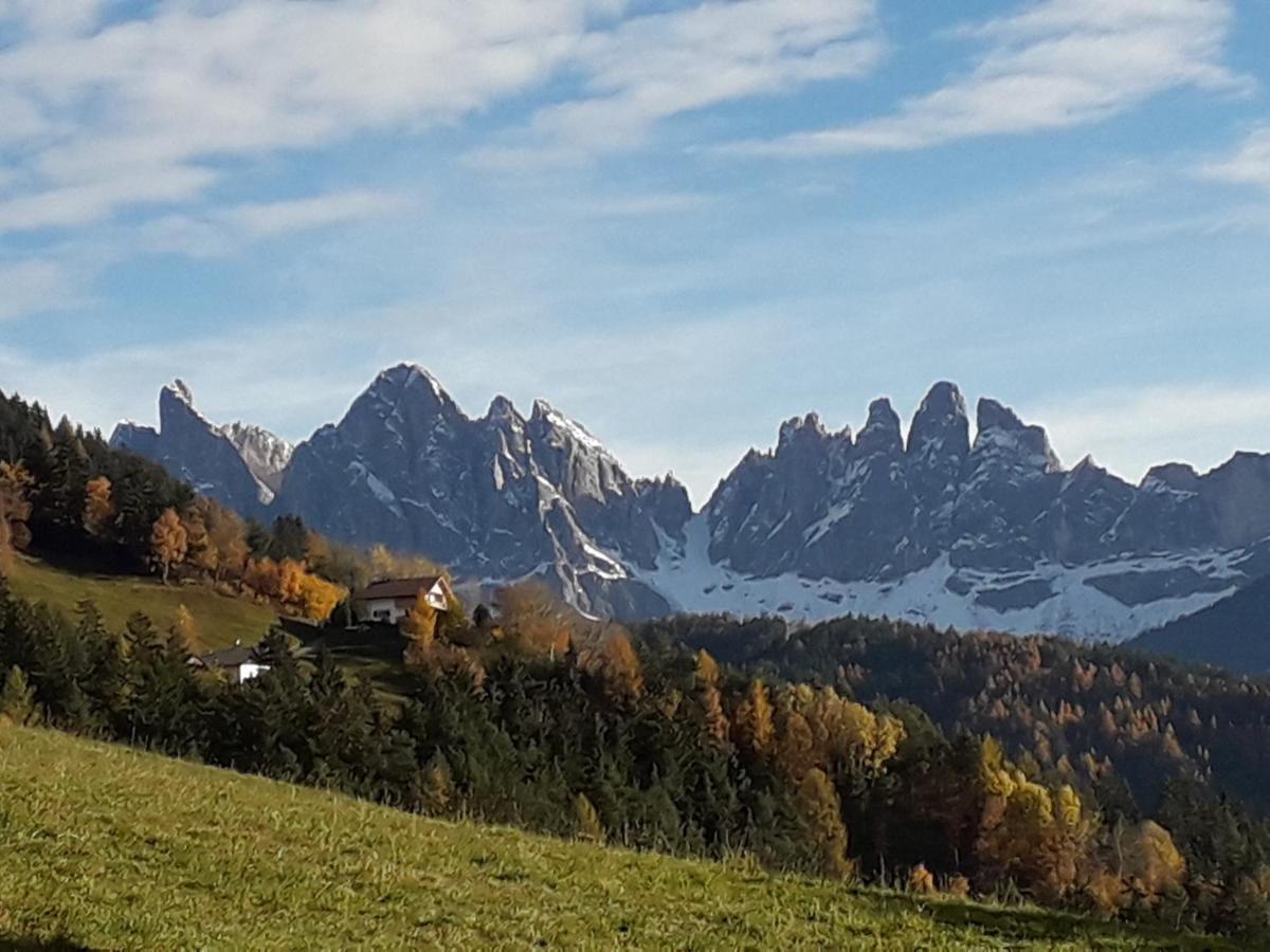Mountain Residence Alpenhof - Company Hotel Alpenhof Kg Sas Der Gasser Renate เบรสซาโนเน ภายนอก รูปภาพ