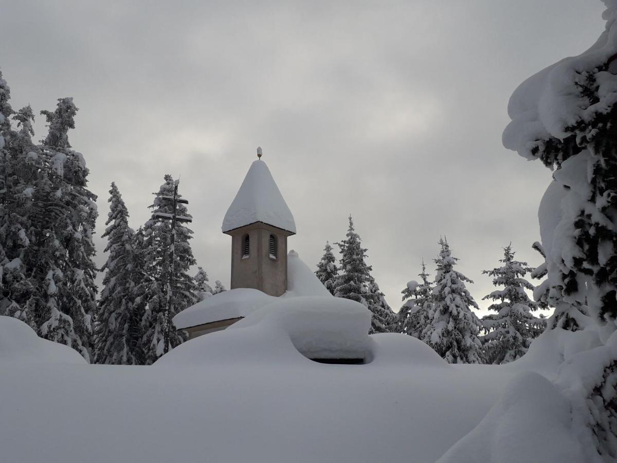 Mountain Residence Alpenhof - Company Hotel Alpenhof Kg Sas Der Gasser Renate เบรสซาโนเน ภายนอก รูปภาพ