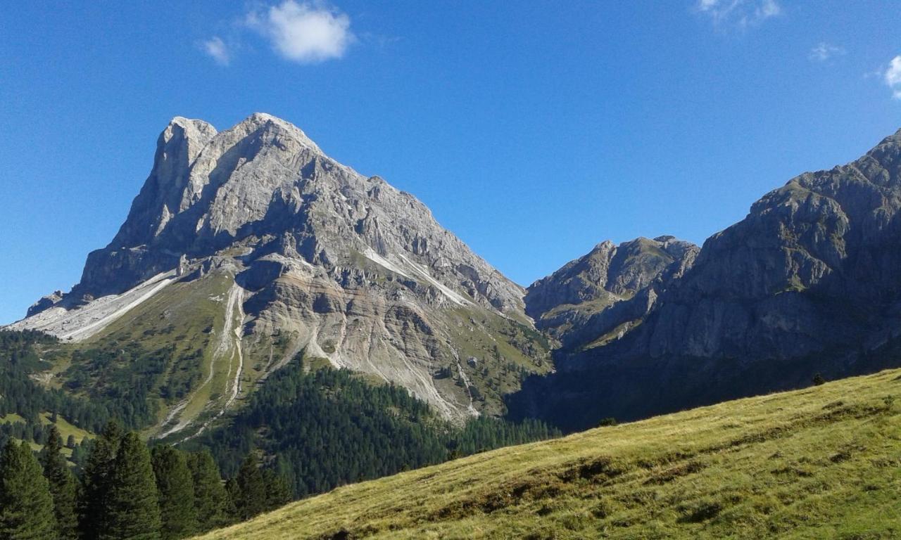 Mountain Residence Alpenhof - Company Hotel Alpenhof Kg Sas Der Gasser Renate เบรสซาโนเน ภายนอก รูปภาพ