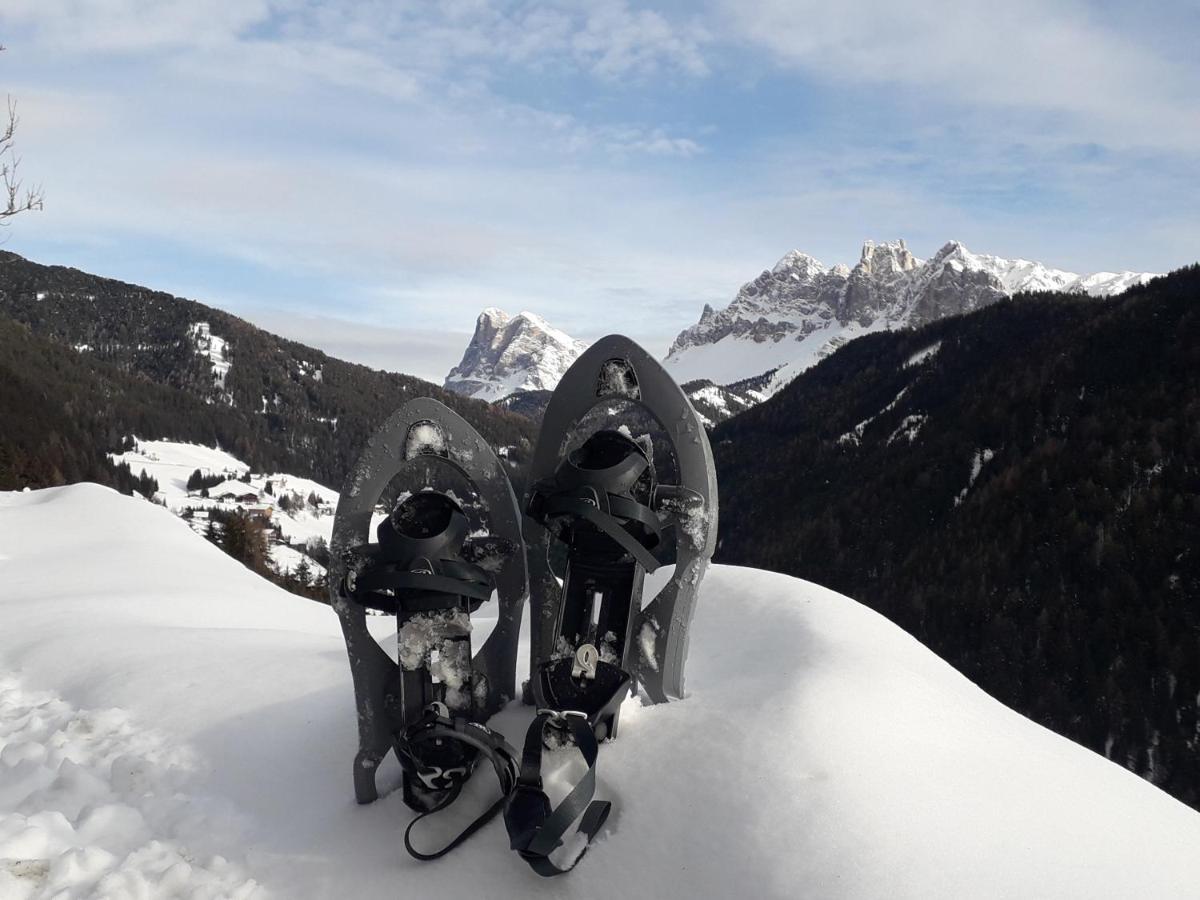 Mountain Residence Alpenhof - Company Hotel Alpenhof Kg Sas Der Gasser Renate เบรสซาโนเน ภายนอก รูปภาพ