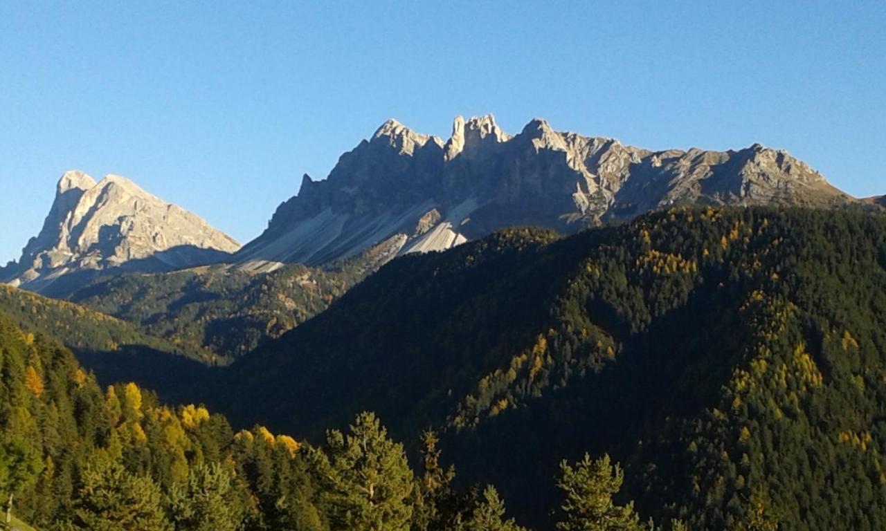 Mountain Residence Alpenhof - Company Hotel Alpenhof Kg Sas Der Gasser Renate เบรสซาโนเน ภายนอก รูปภาพ