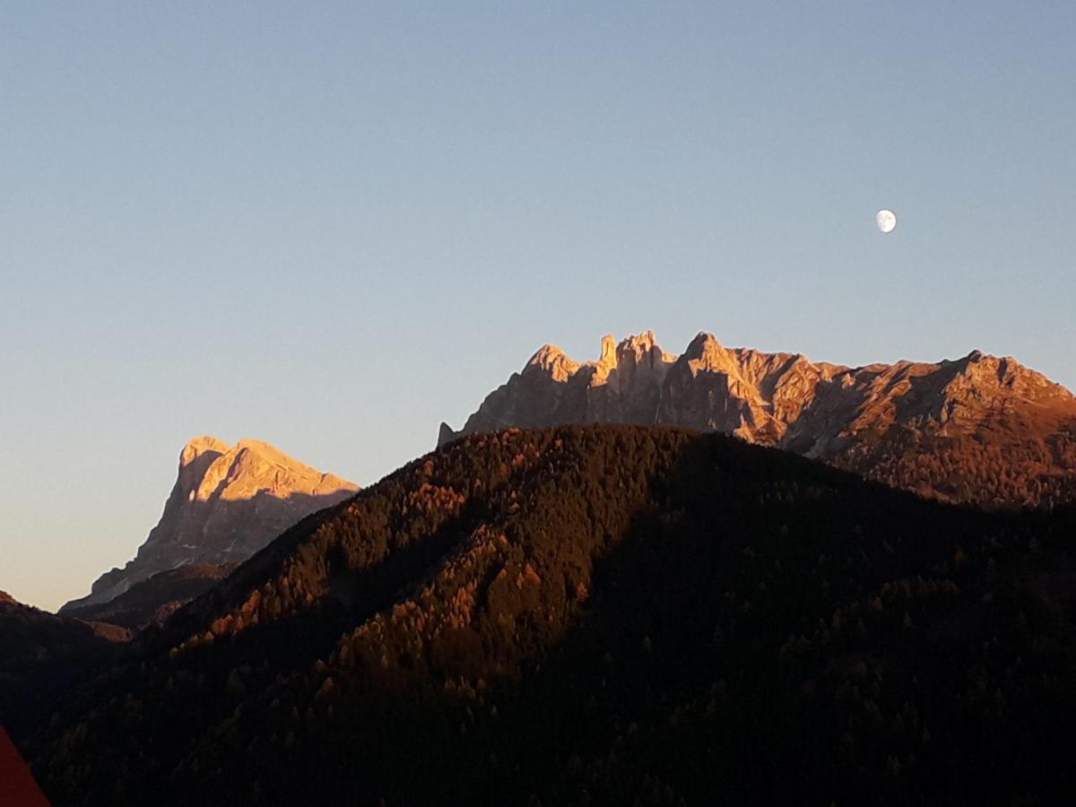 Mountain Residence Alpenhof - Company Hotel Alpenhof Kg Sas Der Gasser Renate เบรสซาโนเน ภายนอก รูปภาพ