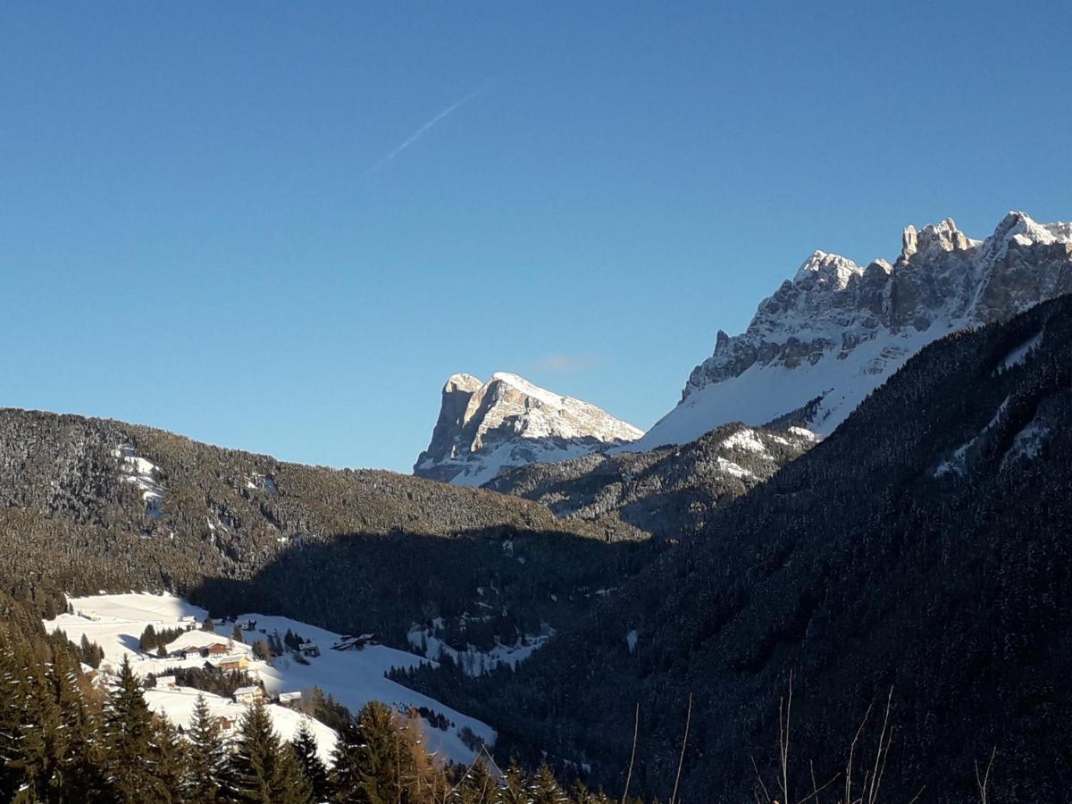 Mountain Residence Alpenhof - Company Hotel Alpenhof Kg Sas Der Gasser Renate เบรสซาโนเน ภายนอก รูปภาพ